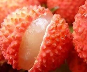 茄子黄色网站荔枝