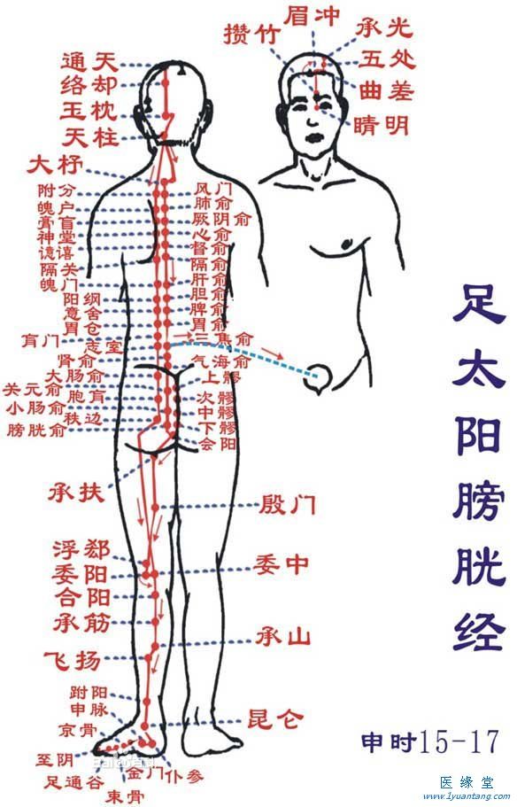 如何利用足太阳膀胱经“生命茄子黄色网站”提精神，增加健康指数